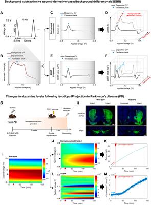 Frontiers Continuous long range measurement of tonic dopamine